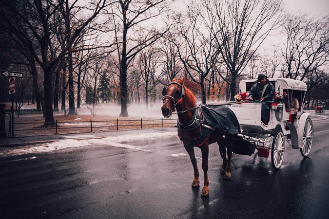 Per un giro in carrozza a Central Park a San Valentina è necessario prenotare con settimane di anticipo.