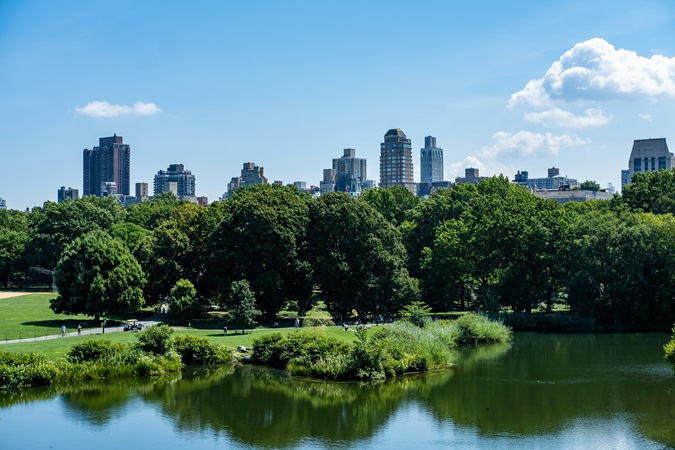 Central Park in origine era un’enorme area paludosa, malsana, disseminata di discariche di rifiuti.