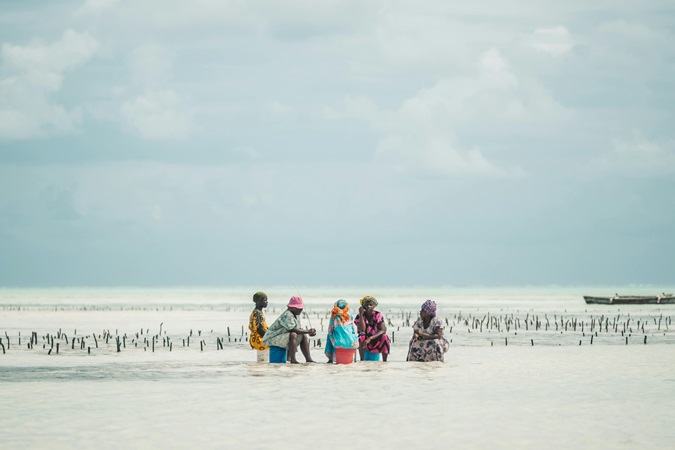 Un gruppo di 5 donne sedute su secchi colorati nella bassa marea di Zanzibar. Alcune imbarcazioni al largo. Un cielo in parte nuvoloso. Il fascino delle abitudini locali.