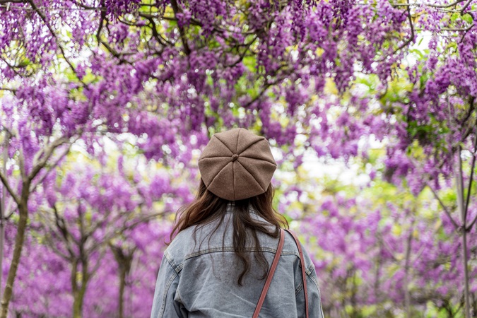 Ripresa di spalle di una ragazza con i capelli lunghi castani e un basco color cammello, mentre contempla la fioritura di piante di glicine.