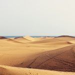 DUNE MASPALOMAS