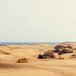 DUNE MASPALOMAS