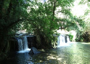 Anguillara Sabazia - Cascate Del Monte Gelato – Castello Orsini - Odescalchi -  Antica Monterano (83,7 Km - 2 H Circa).jpg