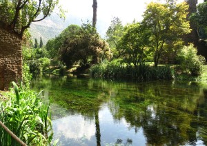 Aprilia - Giardino Di Ninfa – Castello Caetani – Abbazia Di Valvisciolo (76,1 Km - 1,5 H Circa).jpg