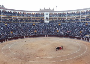 Arrivo A Madrid (tour Di Las Ventas).jpg