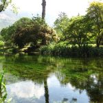 Lago di Ninfa