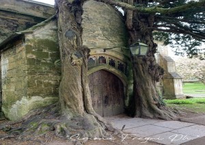 Stratford-upon-avon – Stow-on-the-wold – Bourton-on-the-water – Gloucester (76,6 Km, 1h20).jpg