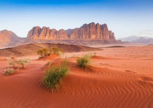 Martedì 29 Ottobre - Deserto Rosso Del Wadi Rum.jpg