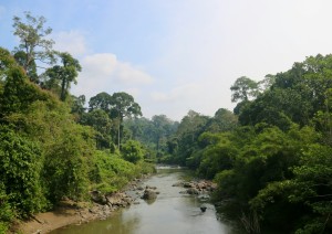 Bako National Park.jpg