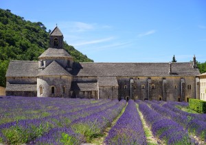 Arles – Abbazia Di Senanque - Gordes (80 Km).jpg