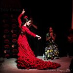 Flamenco