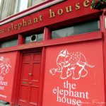 The Elephant House