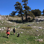 Escursione nel Parco Nazionale