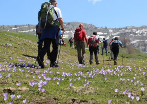 Escursione Nel Parco Nazionale Del Pollino.jpg