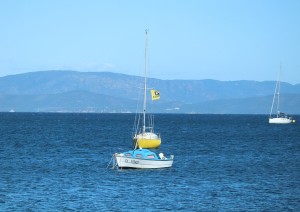 Iles D'hyeres.jpg