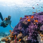 Snorkeling [Foto di NEOM su Unsplash]