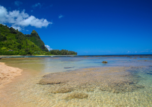 Kauai.jpg