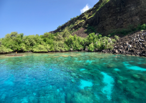 Kauai – Escursione Waimea Canyon.jpg