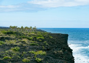 Kauai (volo) - Big Island.jpg