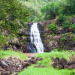 Waimea Valley