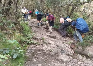 Verso Il Campeggio Barraco (3900 M).jpg