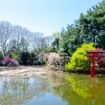 Giardini botanici di Brooklyn