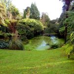 Cornovaglia, Giardini perduti di Heligan