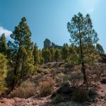 Parco Nazionale Gran Canaria