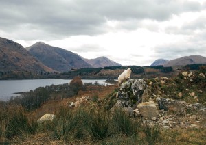 Lock Lomond - Oban (105 Km).jpg