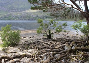 Fort William – Lock Ness - Inverness (105 Km).jpg