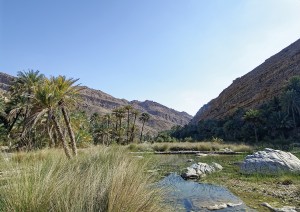 Nizwa – Wadi Bani Khalid – Wahiba Sands (265 Km).jpg