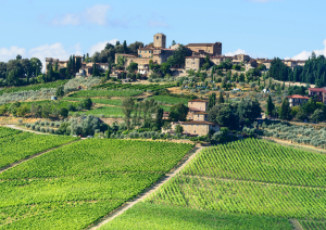 Arrivo A Greve In Chianti.jpg