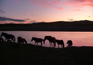 Dal Lago Di Ugii A Hustai National Park.jpg