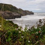 Tratto di costa nei pressi di Robin Hood's Bay