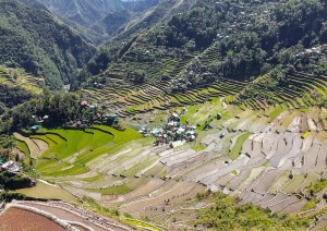 Banaue.jpg