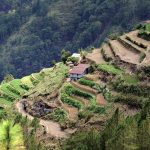 Tipiche terrazze agricole nei dintorni di Sagada, Filippine