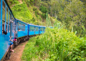 Kandy – Nuwara Eliya – Kandy.jpg