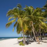 Punta Cana [Image by Luda Kot from Pixabay]