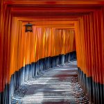 I Torii del santuario Fushimi Inari, Kyoto