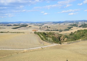 Siena (tour A Cavallo).jpg