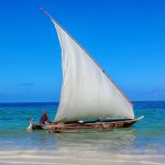 Barca zanzibarina