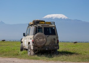 Safari In Tanzania.jpg