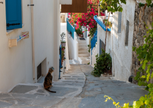 Atene (traghetto) Naxos.jpg