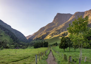 Armenia – Valle Del Cocora – Armenia.jpg