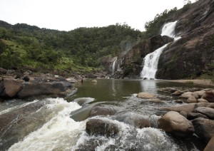 Fianarantsoa - Parco Nazionale Ranomafana.jpg