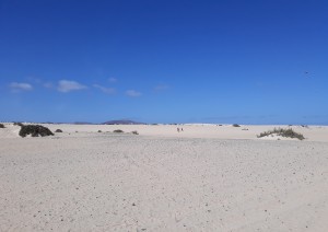 El Cotillo E Corralejo (70 Km).jpg