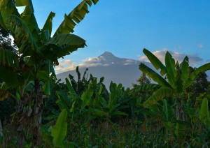 Arrivo Ad Arusha.jpg