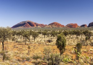 Ayers Rock - Sydney.jpg