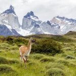 I massici di Torres del Paine