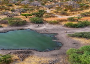 Saint Louis - Parco Djoudi.jpg